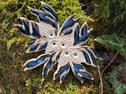 <div>Fleur bleue sur tapis de mousse</div>