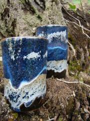<div>Tasses lichen</div>