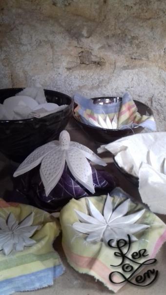 les premieres fleurs en cours <br/>